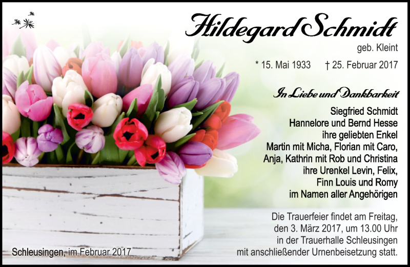  Traueranzeige für Hildegard Schmidt vom 28.02.2017 aus Südthüringer Presse