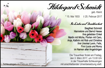 Traueranzeige von Hildegard Schmidt von Südthüringer Presse