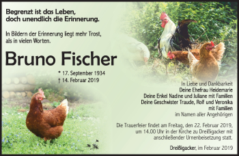 Traueranzeige von Bruno Fischer von Südthüringer Presse