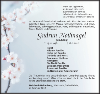 Traueranzeige von Gudrun Nothnagel von Südthüringer Presse