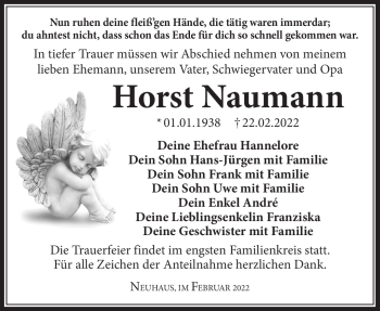 Traueranzeige von Horst Naumann von Südthüringer Presse