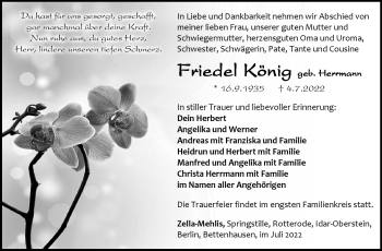 Traueranzeige von Friedel König von Südthüringer Presse