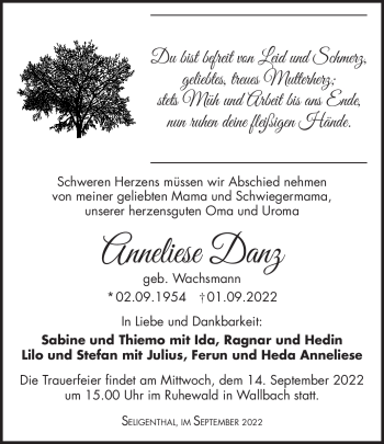Traueranzeige von Anneliese Danz von Südthüringer Presse