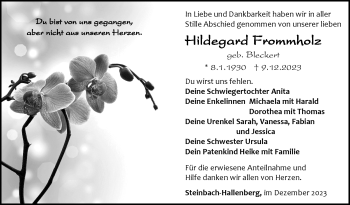 Traueranzeige von Hildegard Frommholz von Südthüringer Presse