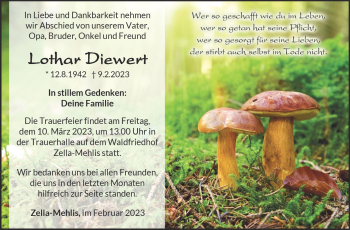 Traueranzeige von Lothar Diewert von Südthüringer Presse