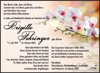 Traueranzeige von Brigitte Fehringer von Südthüringer Presse
