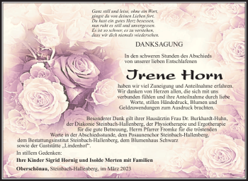 Traueranzeige von Irene Horn von Südthüringer Presse