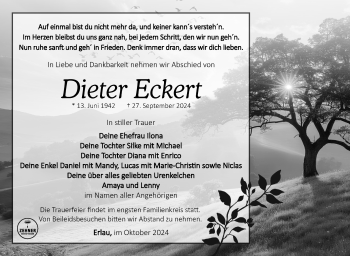 Traueranzeige von Dieter Eckert von Südthüringer Presse