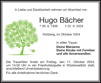 Traueranzeige von Hugo Bächer von Frankenpost