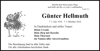 Traueranzeige von Günter Hellmuth von Frankenpost