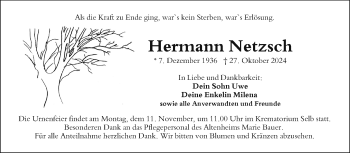 Traueranzeige von Hermann Netzsch von Frankenpost