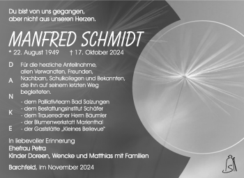 Traueranzeige von Manfred Schmidt von Südthüringer Presse