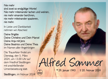 Traueranzeige von Alfred sommer von Südthüringer Presse