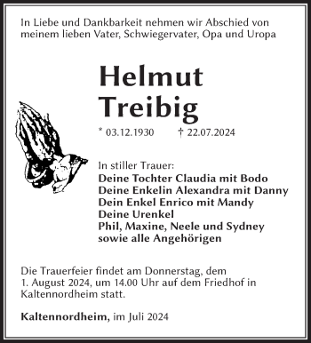 Traueranzeige von Helmut Treibig von Südthüringer Presse