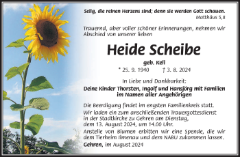Traueranzeige von Heide Scheibe von Südthüringer Presse