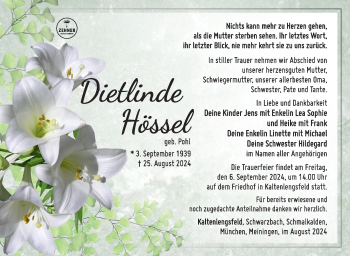 Traueranzeige von Dietlinde Hössel von Südthüringer Presse