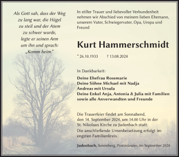 Traueranzeige von Kurt Hammerschmidt von Südthüringer Presse