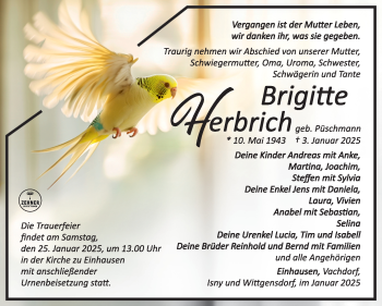 Traueranzeige von Brigitte Herbrich von Südthüringer Presse