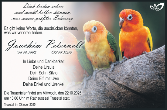 Traueranzeige von Joachim Peternell von Südthüringer Presse