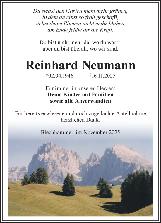 Traueranzeige von Reinhard Neumann von Südthüringer Presse