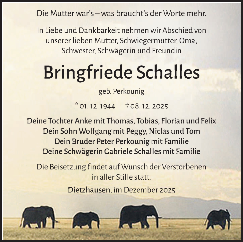  Traueranzeige für Bringfriede Schalles vom 13.12.2025 aus Südthüringer Presse