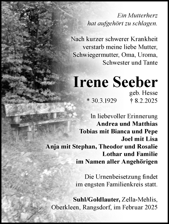 Traueranzeige von Irene Seeber von Südthüringer Presse