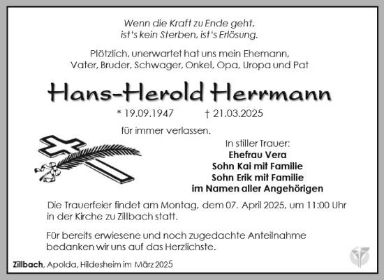 Traueranzeige von Hans-Herold Herrmann von Südthüringer Presse